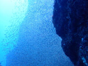 脱１枚！＠雲見