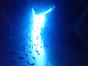 良き海！＠雲見[3]