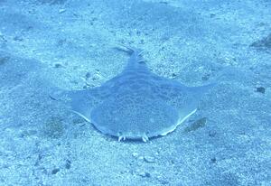 良き海！＠雲見