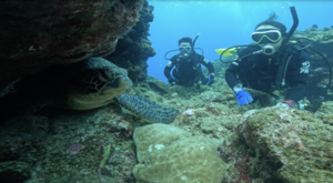 花粉がないって素晴らしい！