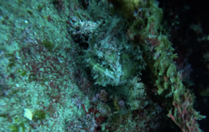 雨だろうと！＠雲見[2]