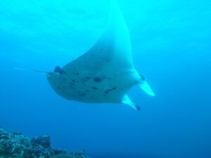 GWは石垣島へ！
