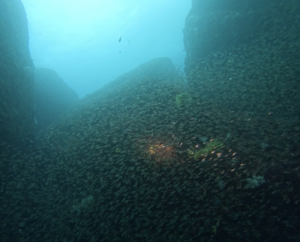 雨だろうと！＠雲見[3]