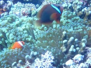 風強め！＠石垣[3]