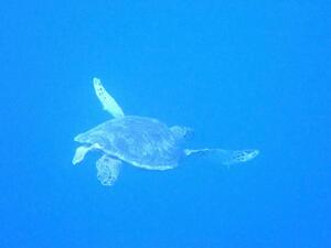 風強め！＠石垣[2]