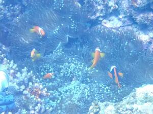 風強め！＠石垣[4]