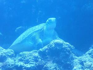 風強め！＠石垣