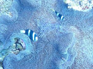 風強め！＠石垣[5]