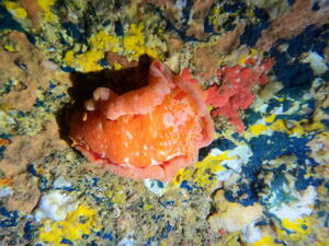 今日も楽しかった！＠田子[4]