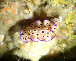 今日も楽しかった！＠田子[3]