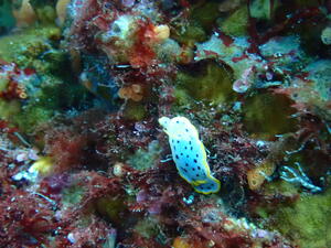 群れ群れ！＠雲見[4]