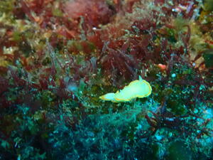 群れ群れ！＠雲見[5]