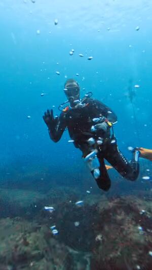 サルパ大量発生中＠雲見[5]