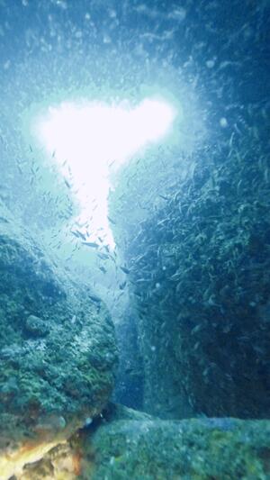 真っ白＠雲見[1]