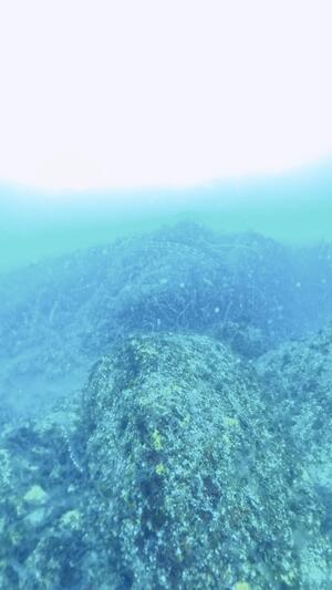 真っ白＠雲見[3]