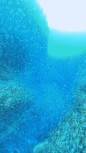 真っ白＠雲見[2]