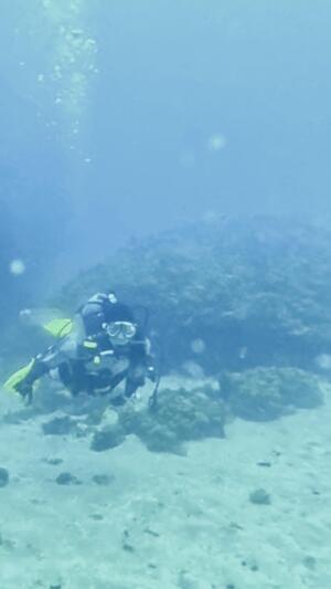 真っ白＠雲見[4]