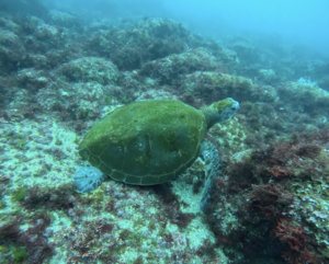 雨だろうと！＠雲見[1]