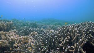 いい天気、あっつい！！＠石垣島[4]