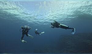 明日はマリンダイビング！[1]