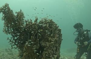 石垣島より！[3]