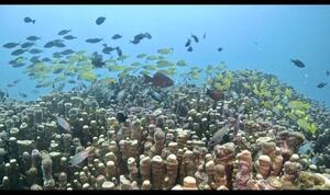 石垣島より！[2]