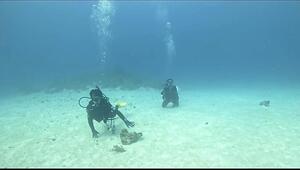 石垣島より！[1]