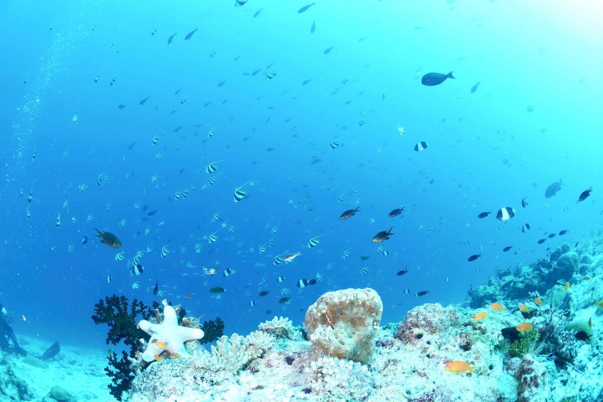 年間行事予定！