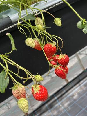 ご参加いただき、ありがとうございました！[2]