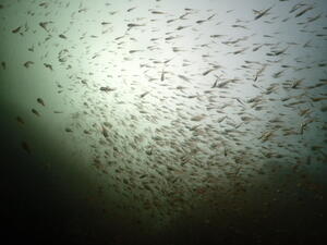 雲見へ！＠雲見[4]