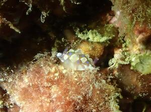 雲見へ！＠雲見[5]