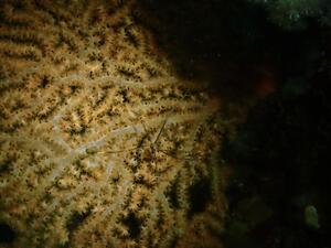 雲見へ！＠雲見[6]