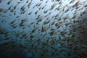 キレーになって来ましたよー！＠雲見[2]