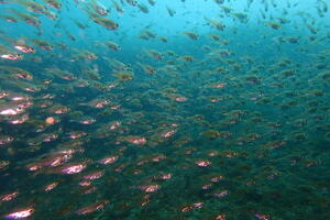 キレーになって来ましたよー！＠雲見