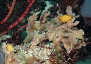 そろそろ終わり！？＠雲見[5]