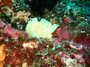 そろそろ終わり！？＠雲見