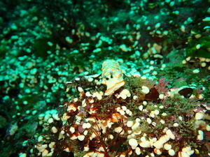 そろそろ終わり！？＠雲見[2]