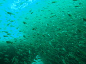 そろそろ終わり！？＠雲見[4]