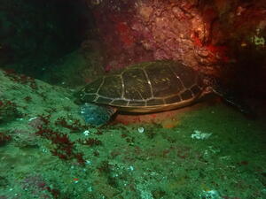 楽しい海でした！＠雲見[7]