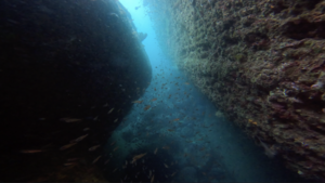 ベタ凪！　＠雲見[2]