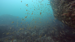 ベタ凪！　＠雲見[3]