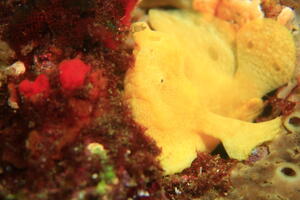 楽しい海でした！＠雲見[1]