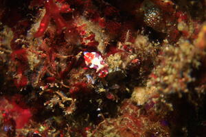 楽しい海でした！＠雲見[3]