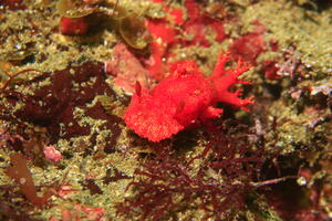 楽しい海でした！＠雲見[4]