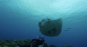 久米島ツアーのお知らせ！[1]