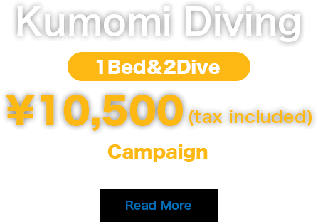 Kumomi Diving 1Bed and 2Dive \10,500(tax included) Campaign(10 April 2024 - 31 May2024)